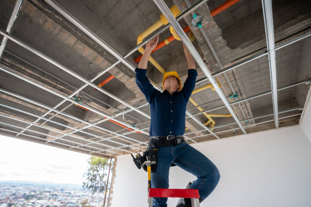 Best Plumbing Repair Near Me  in Manton, MI
