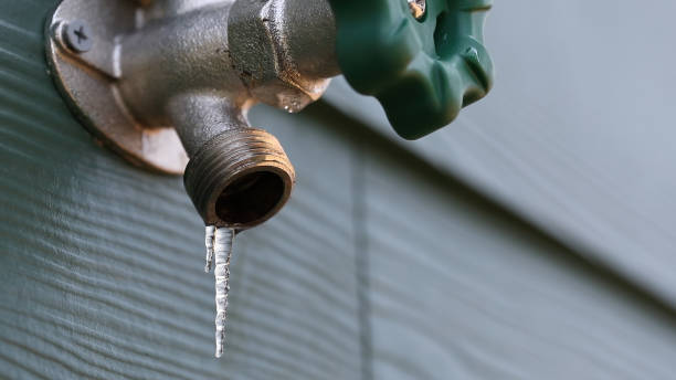 Best Faucet Repair  in Manton, MI